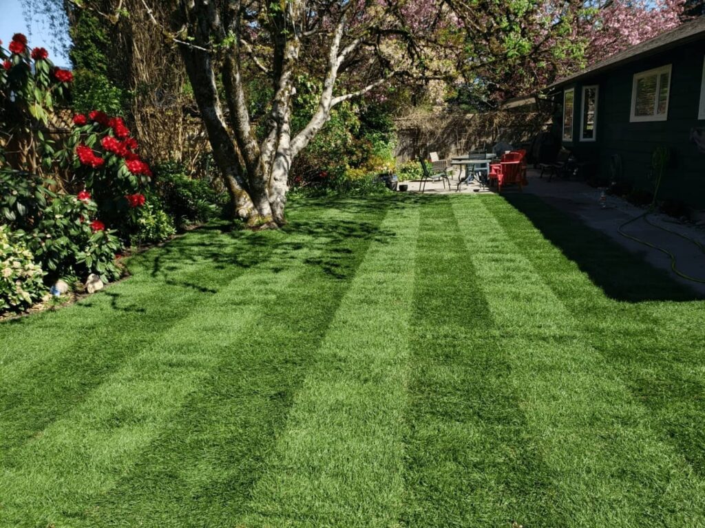 Real Grass Rolls of Sod