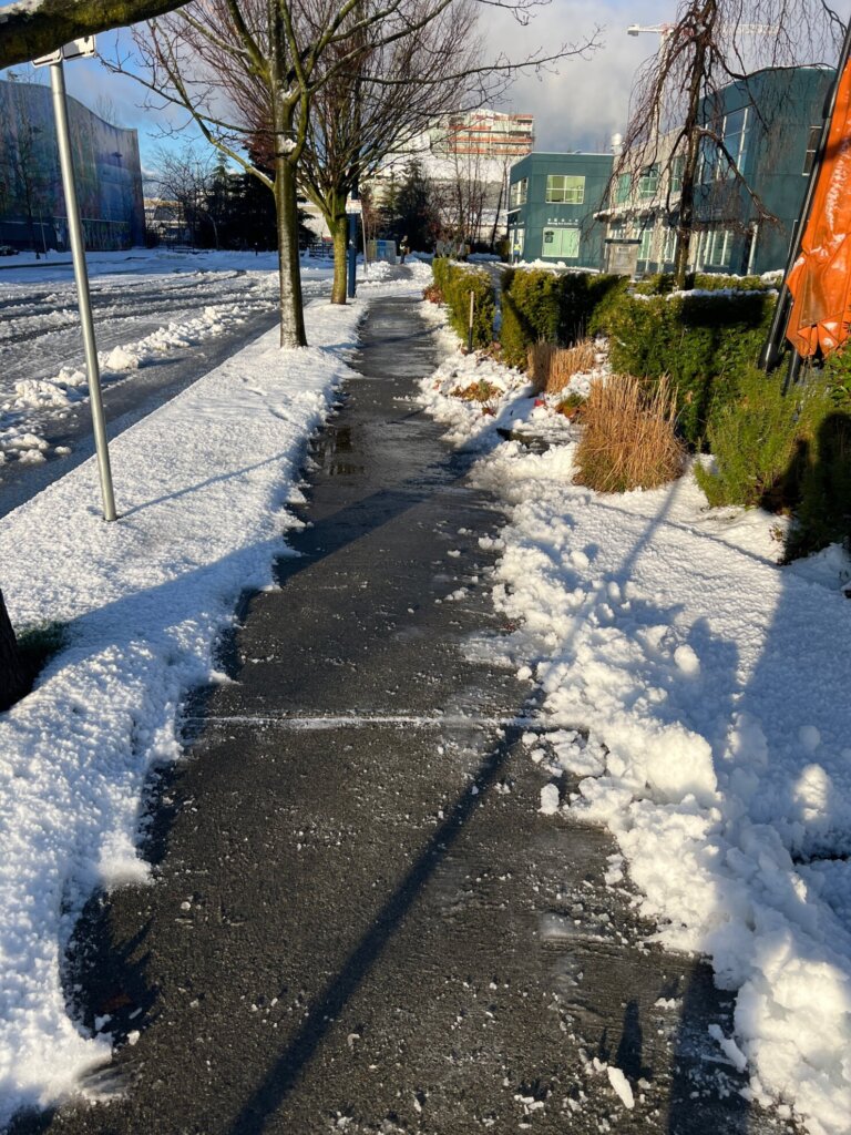 142266ce 5fde 474d aeef e3976a820add image